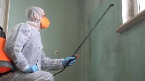 Best Commercial Mold Inspection  in Titusville, FL